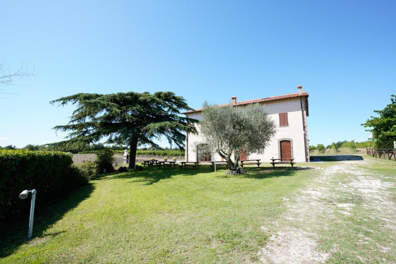 Agriturismo Vigna Sul Lago Montefiascone Ngoại thất bức ảnh
