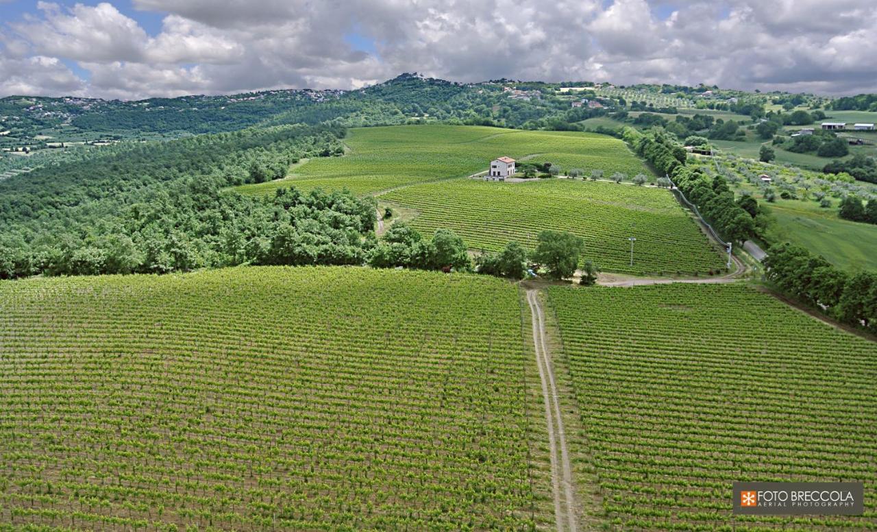 Agriturismo Vigna Sul Lago Montefiascone Ngoại thất bức ảnh